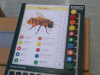 obisk-volkschule-3