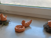 IMG_20250304_084559